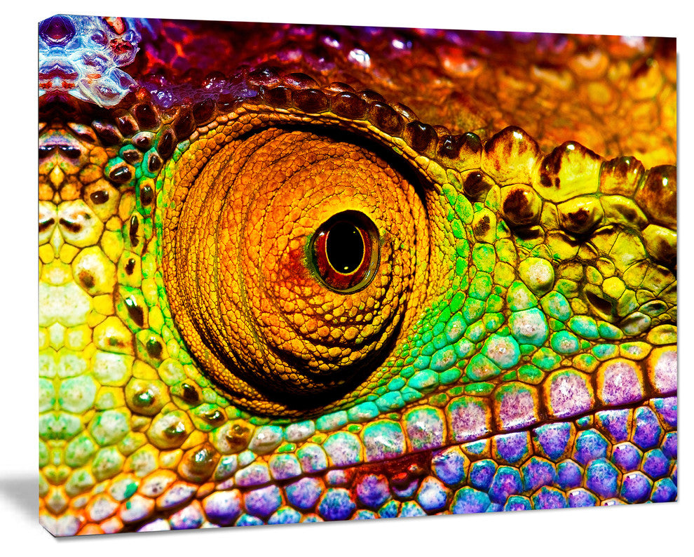 Multicolor Scaly Skin of Lizard, Abstract Canvas Art Print, 20"x12"