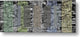Rock Panels, Signed Limited Edition, Metal Print, 24"x8.875"