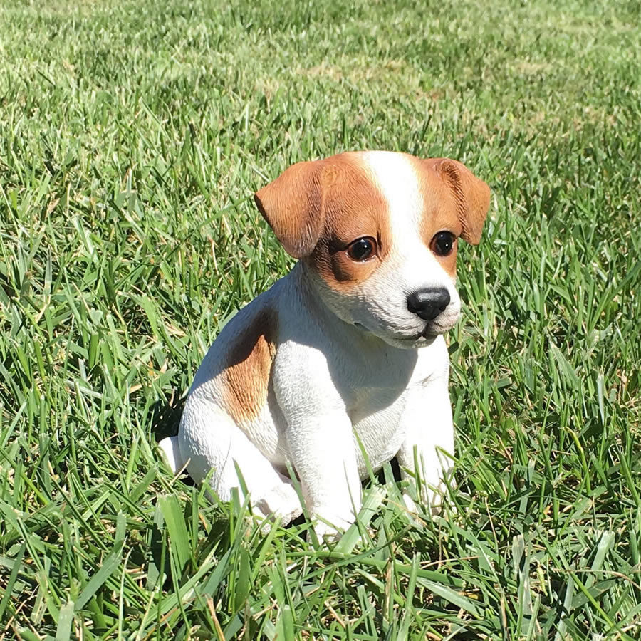 Realistic Jack Russell Terrier Puppy Garden Statue
