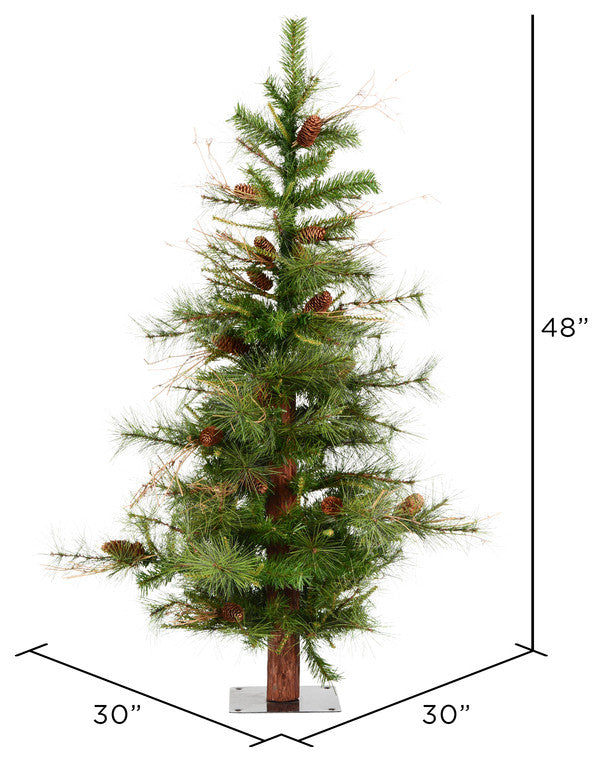 4' X 30" Ashland 331 Tips Pine Cones