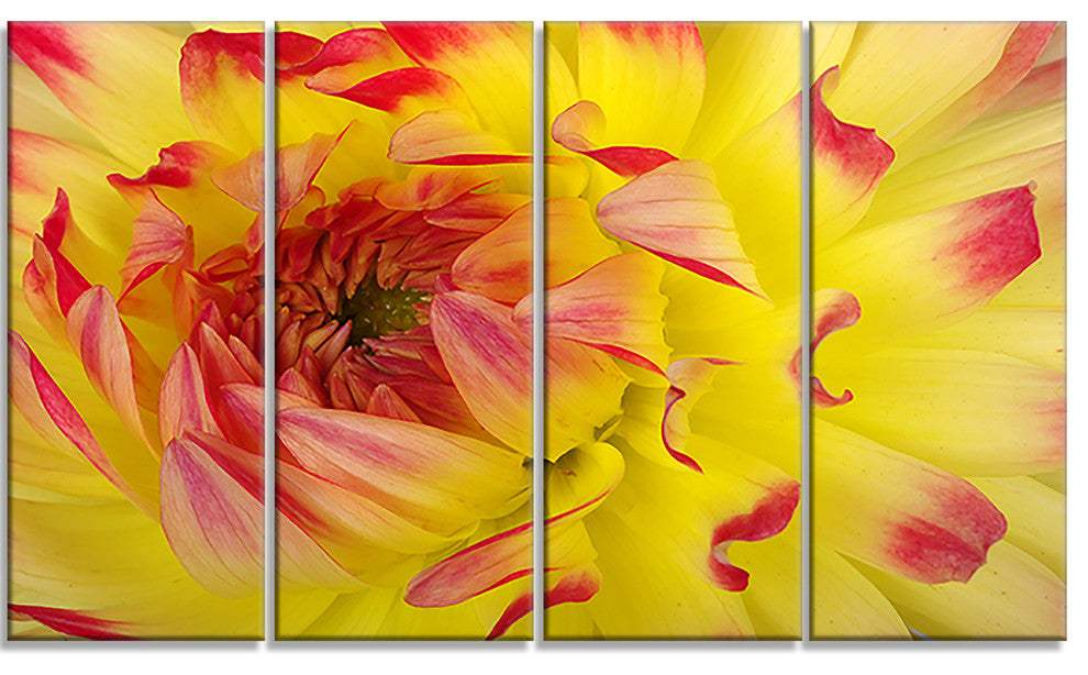 Smooth Yellow Red Petals Close Up, Floral Canvas Art Print, 48"x28", 4 Panels