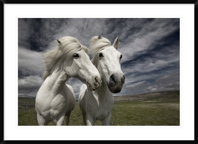 "Inseparables" Framed Digital Print by Bragi Ingibergsson, 44x32"