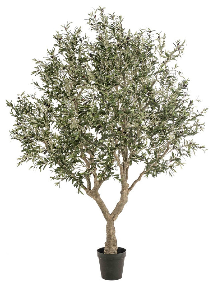 Faux Mediterranean Evergreen Tree | Emerald Olive