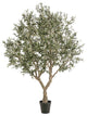 Faux Mediterranean Evergreen Tree | Emerald Olive