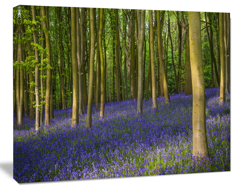 Bluebell Woods in Oxfordshire, Large landscape Canvas Art Print, 60x40