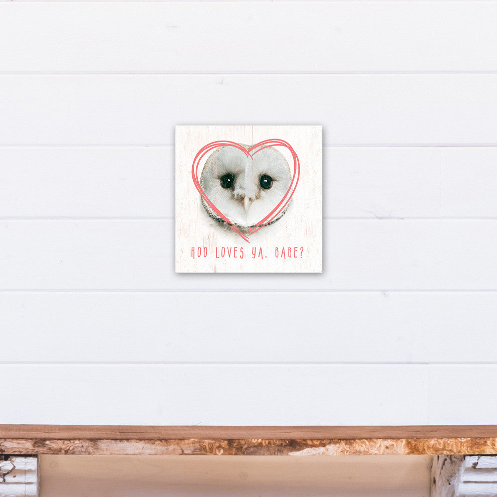 Owl Love 12x12 Canvas Wall Art