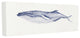Humpback Whale Watercolor Illustration Stretched Canvas Wall Art, 10"x24"