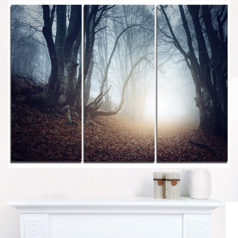 "Magical Trees in Mysterious Forest" Forest Metal Wall Art, 3 Panels, 36"x28"