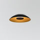Volo Flush Mount, Noir, Brushed Brass/ Black Leather/Dark Stained Walnut, 3000K