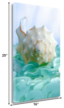24" Conchshell and Blue Seaglass Giclee Wrap Canvas Wall Art