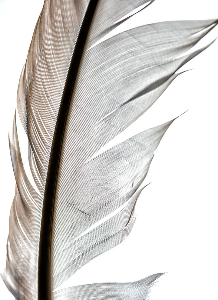 "Light As A, Two" Metal, 32"x44"
