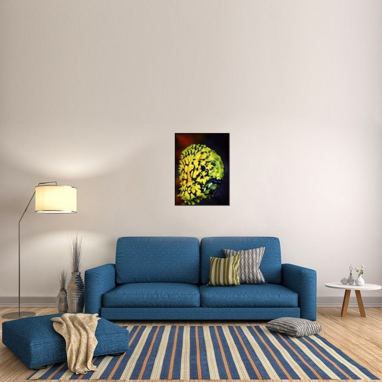 "Pineconefish" Framed Canvas Giclee by Barathieu Gabriel, 25x33"