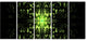 Green Butterfly Pattern on Black, Abstract Wall Art Canvas, 60"x28", 5 Panels