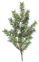 Pine Spray, Set of 12