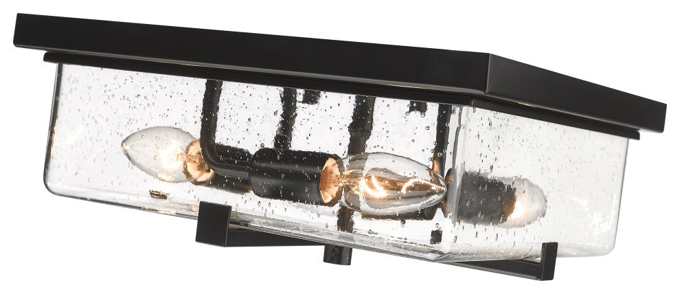 Zlite 592F-BK 4-Light Outdoor Flush Ceiling Mount Fixture, Seedy