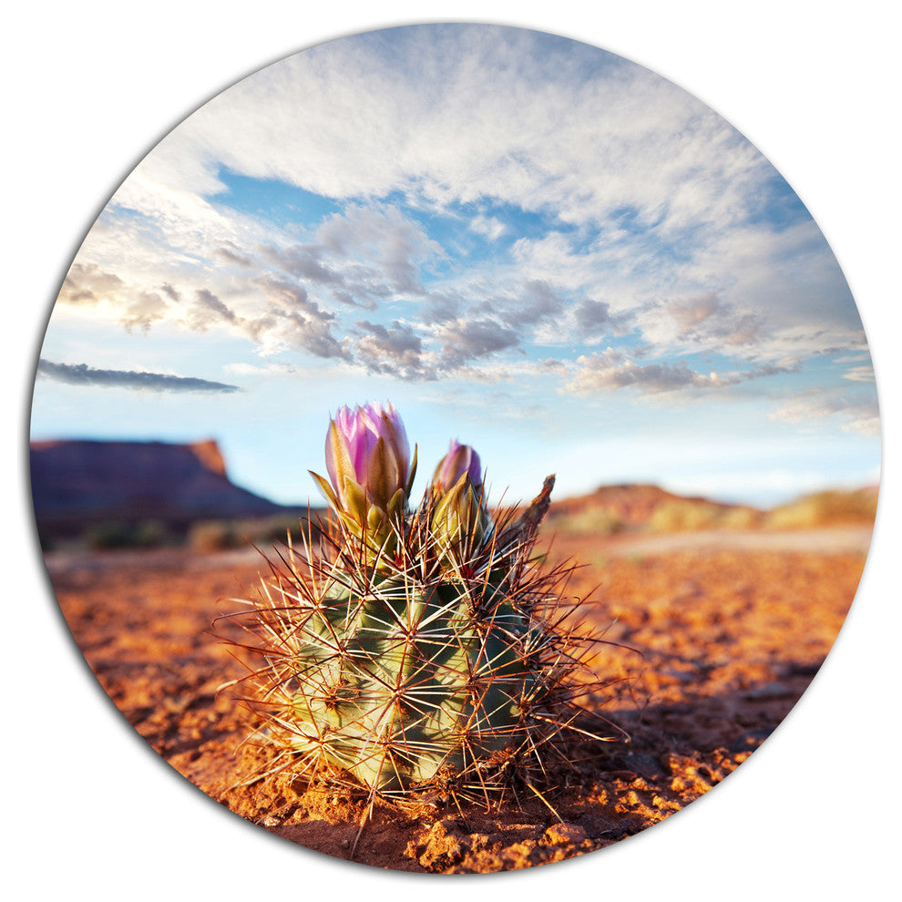 Cactus Under Cloudy Sky, Floral Large Disc Metal Wall Art, 23"