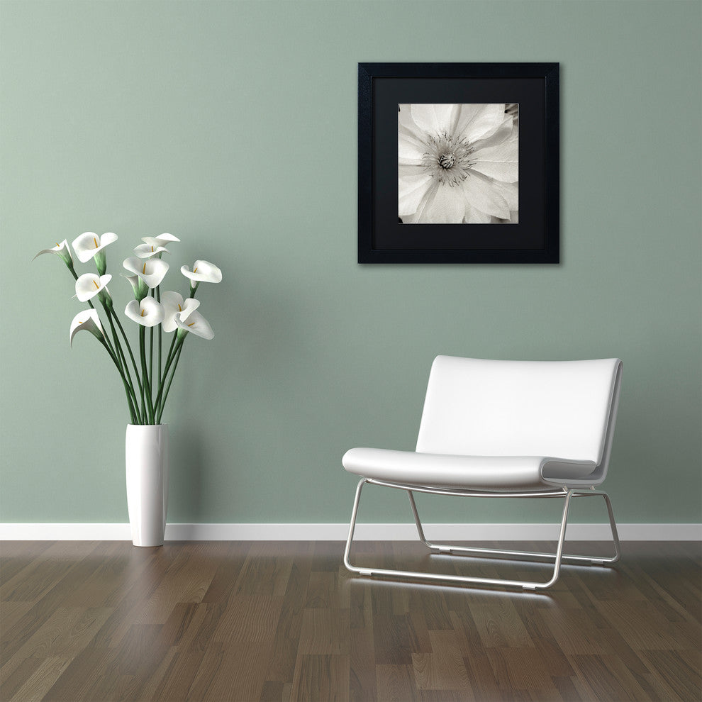 Alan Blaustein 'Florison 32' Art, Black Frame, Black Mat, 11x11