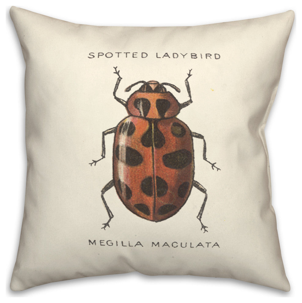 Vintage Ladybug Diagram 18x18 Spun Poly Pillow