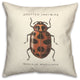 Vintage Ladybug Diagram 18x18 Spun Poly Pillow