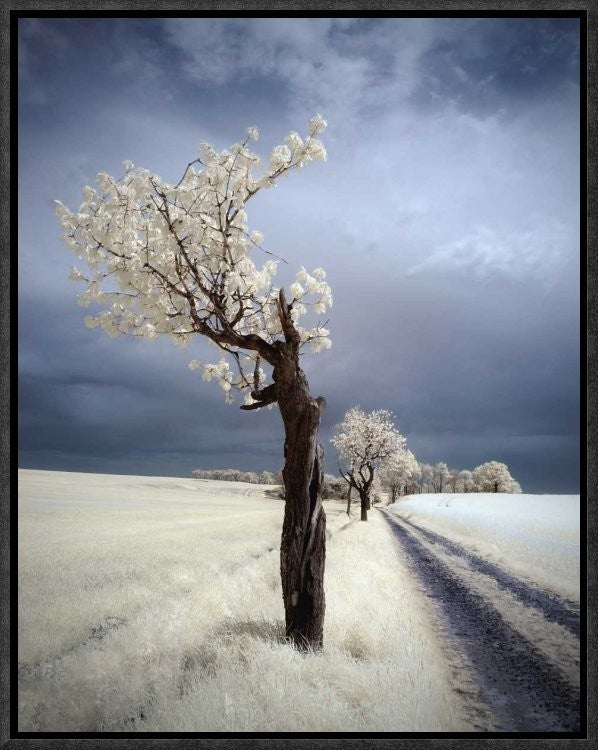 "Irenka" Framed Canvas Giclee by Piotr (Bax) Krol, 13x17"