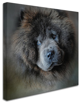 Jai Johnson 'Watching Master Blue Chow Chow' Canvas Art, 14 x 14