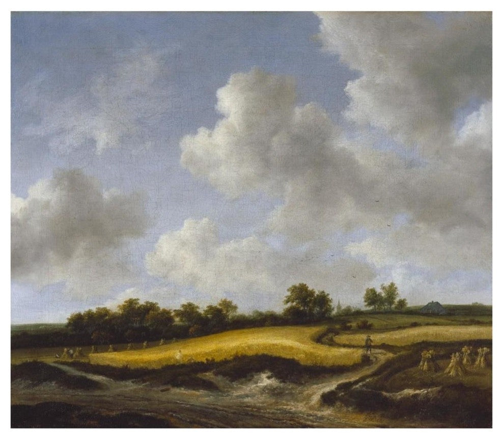 "Landscape with a Wheatfield" Digital Paper Print by Jacob van Ruisdael, 38"x33"