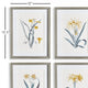 Daffodil Prints, Set of 4