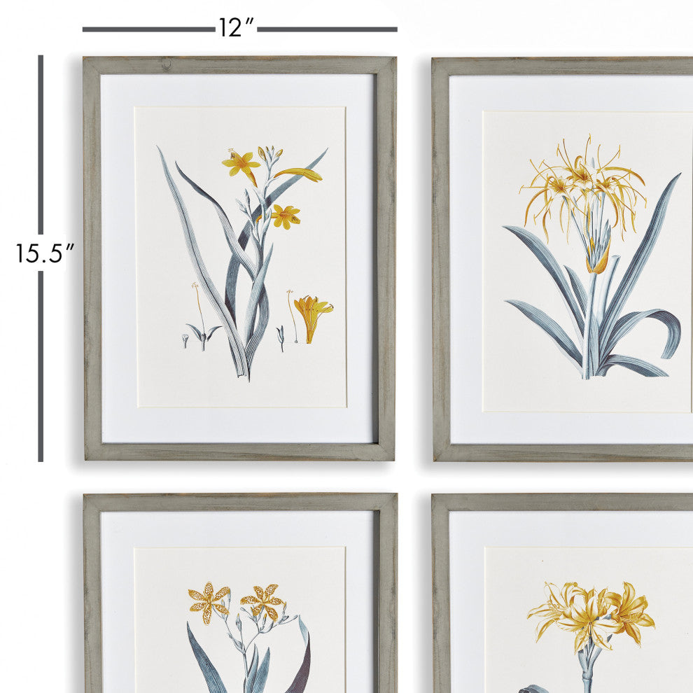 Daffodil Prints, Set of 4