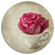 Red Rose In Cup Photography, Floral Large Disc Metal Wall Art, 36"