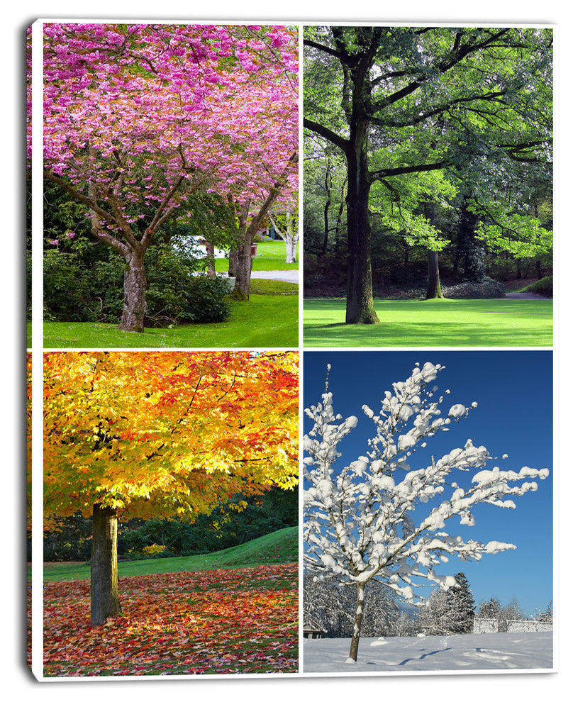 Four Seasons Trees Collage, Landscape Canvas Art Print, 12"x20"
