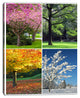 Four Seasons Trees Collage, Landscape Canvas Art Print, 12"x20"