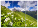 "Blossom Flowers in Mountains" Metal Wall Art, 3 Panels, 36"x28"