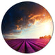 Stunning Lavender Field Under Cloudy Sky, Floral Round Wall Art, 23"