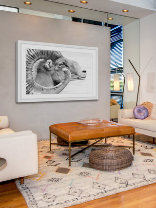 Marmont Hill, "Ram Profile 3" Framed Painting Print, 45x30
