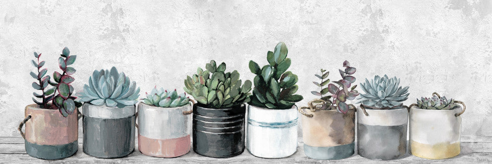 "Wild Succulents, Pots" Painting Print on Wrapped Canvas