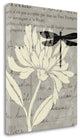 "Natural Prints II" By Daphne Brissonnet, Giclee Print on Gallery Wrap Canvas