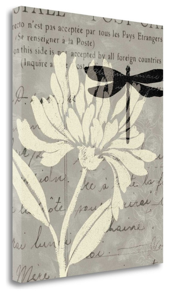 "Natural Prints II" By Daphne Brissonnet, Giclee Print on Gallery Wrap Canvas