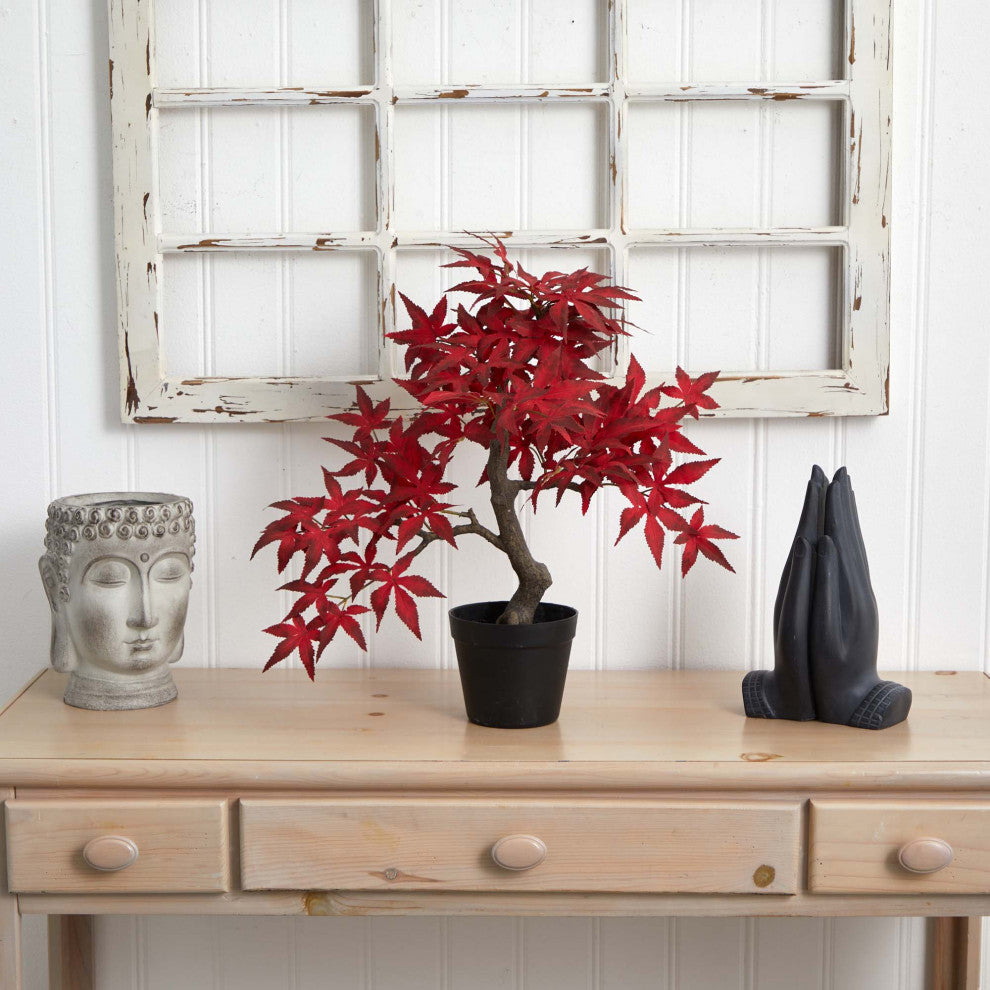 20" Autumn Maple Bonsai