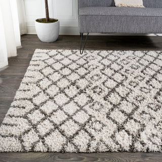 Algaida Moroccan Diamond Shag Beige/Dark Gray 4'x6' Area Rug
