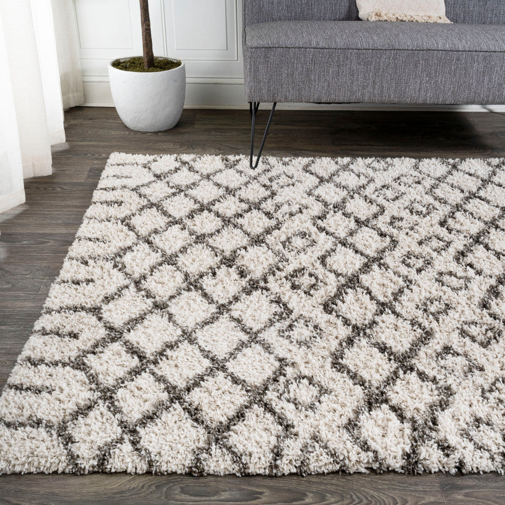 Algaida Moroccan Diamond Shag Beige/Dark Gray 4'x6' Area Rug