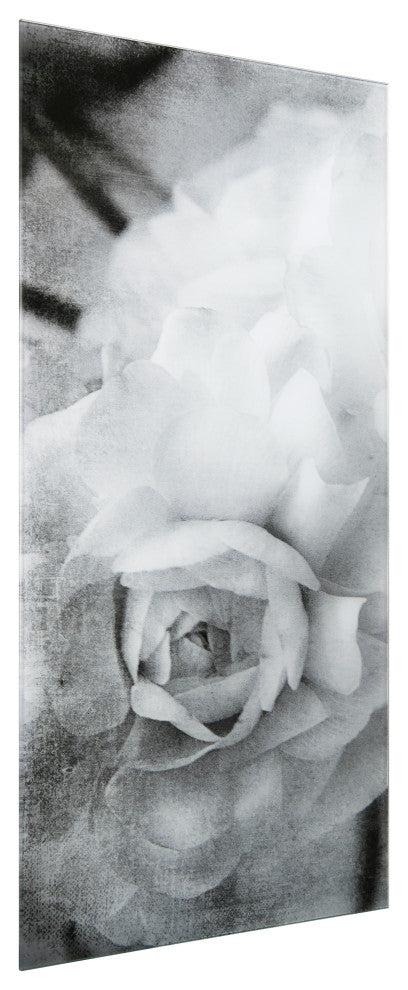 "Dark Ranunculus I A" Frameless Reverse Printed Tempered Art Glass Wall Art