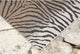 Carmel Zebra Indoor/Outdoor Rug Sand, 6'6"x9'3"