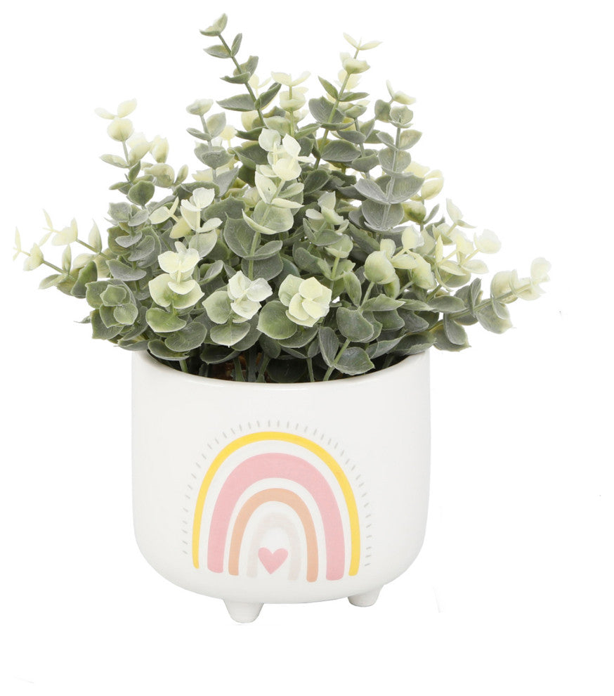 Eucalyptus In 4.75"  Double Rainbow Footed Pot