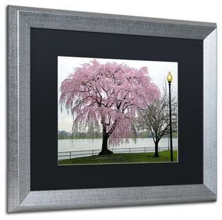 CATeyes 'Cherry Tree' Matted Framed Art, 16x20