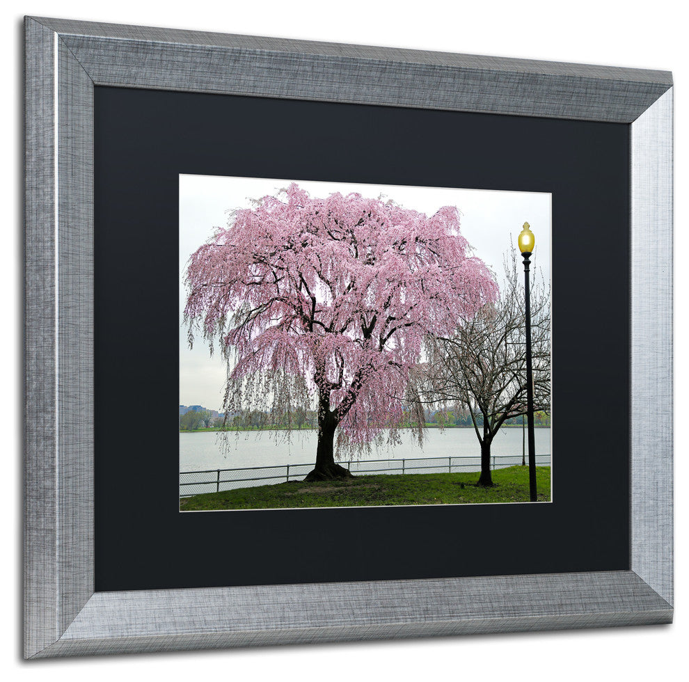 CATeyes 'Cherry Tree' Matted Framed Art, 16x20