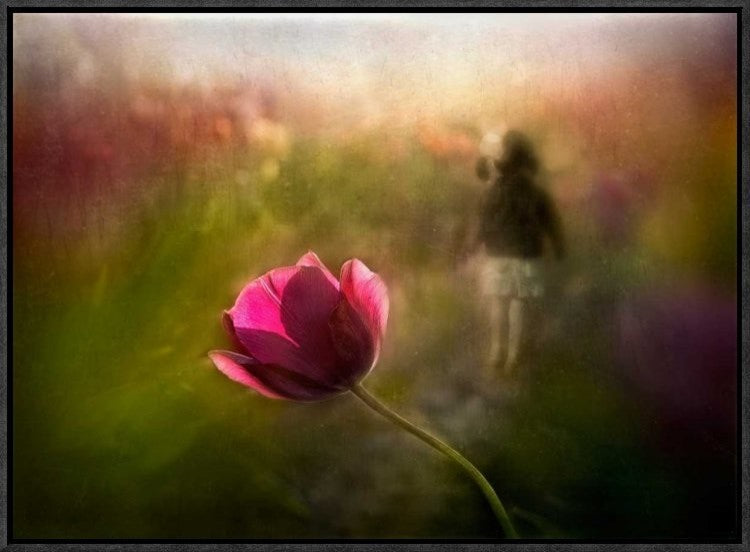 "A Pink Childhood Memory" Framed Canvas Giclee by Shenshen Dou, 23x17"