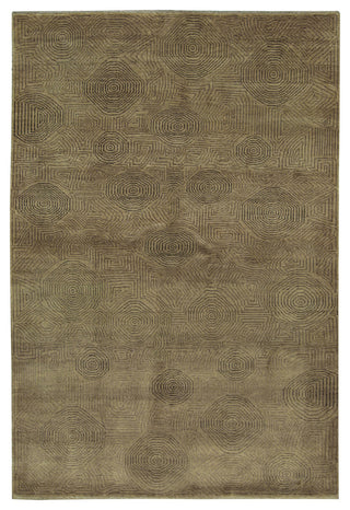 Brown Transitional All Over Ningxia Area Rug