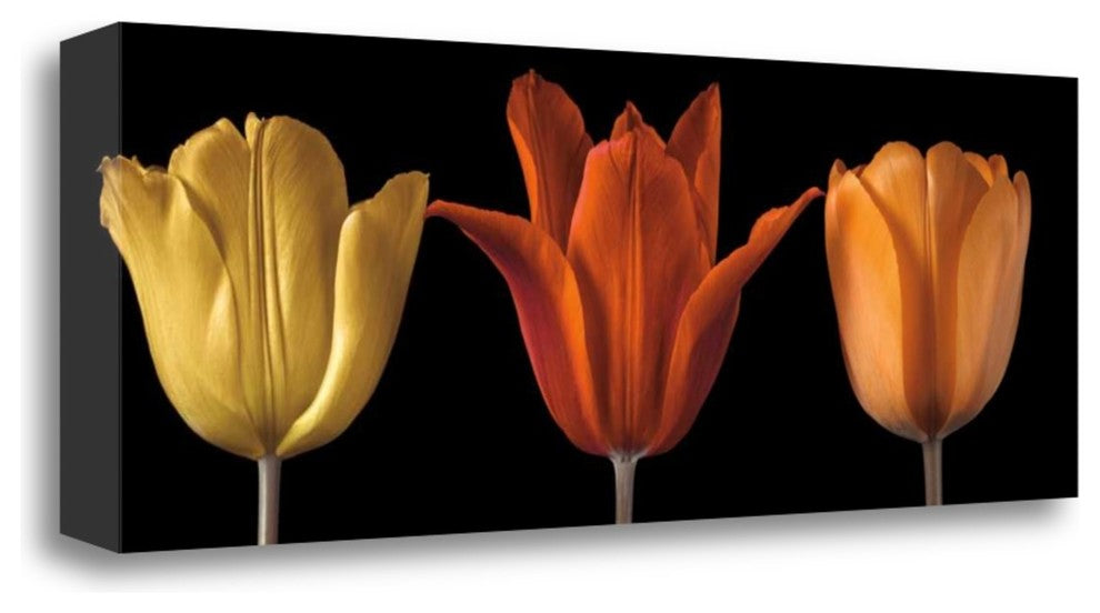 "Sunshine Stance" By Assaf Frank, Giclee Print on Gallery Wrap Canvas
