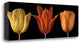 "Sunshine Stance" By Assaf Frank, Giclee Print on Gallery Wrap Canvas