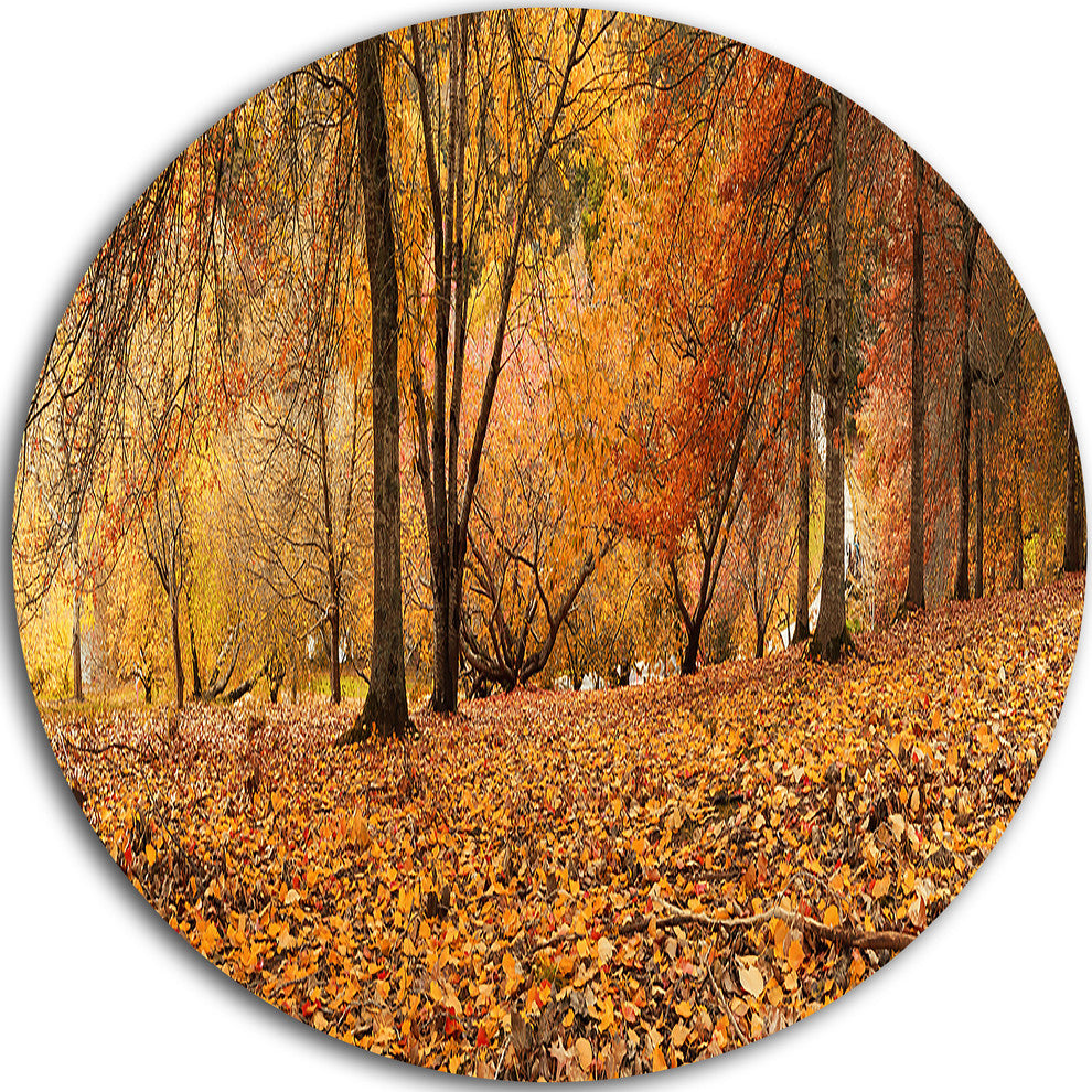 Brown Autumn Panorama, Landscape Photo Round Metal Wall Art, 36"